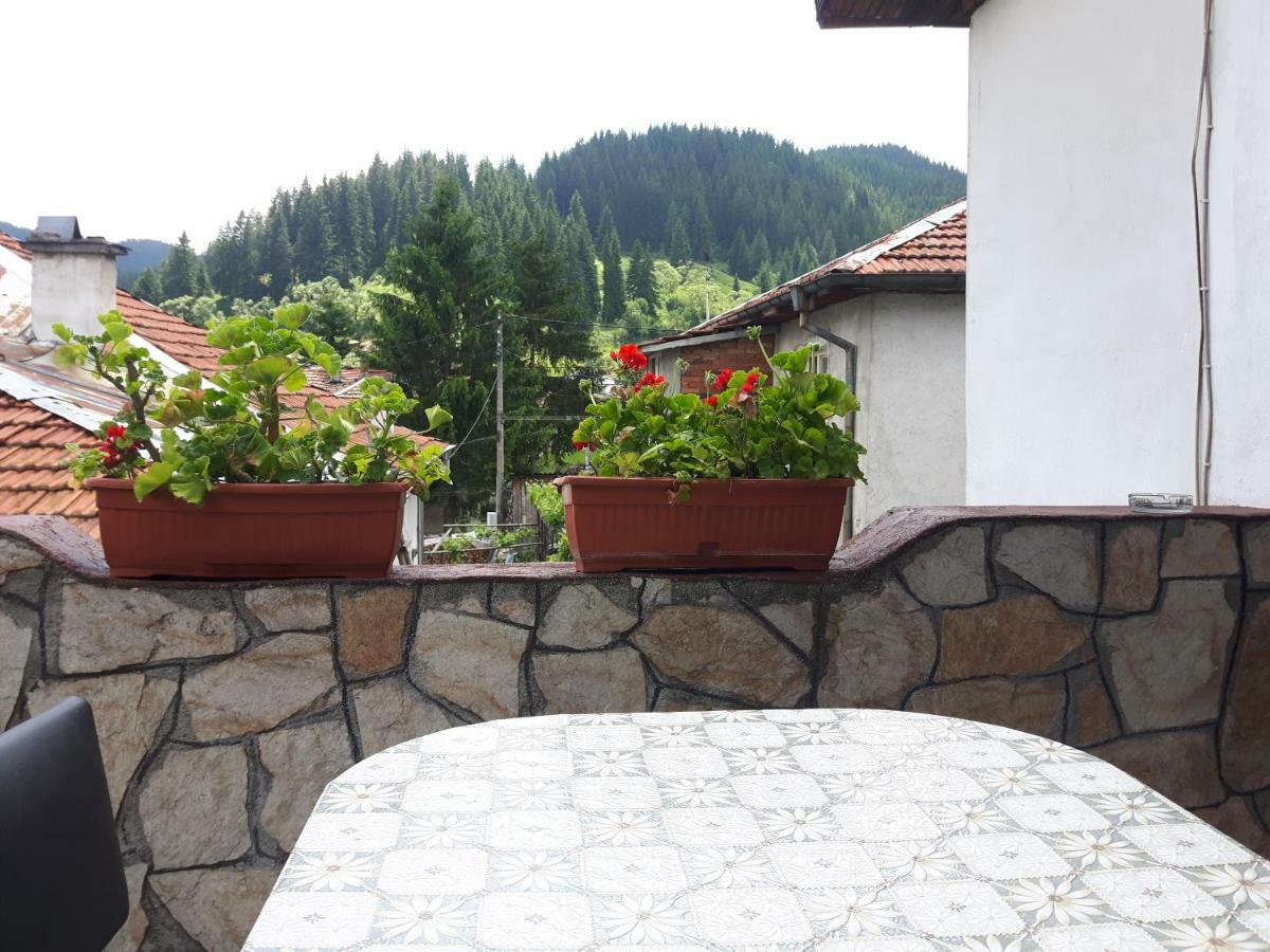 Guest House Denitsa ทริกราด ภายนอก รูปภาพ
